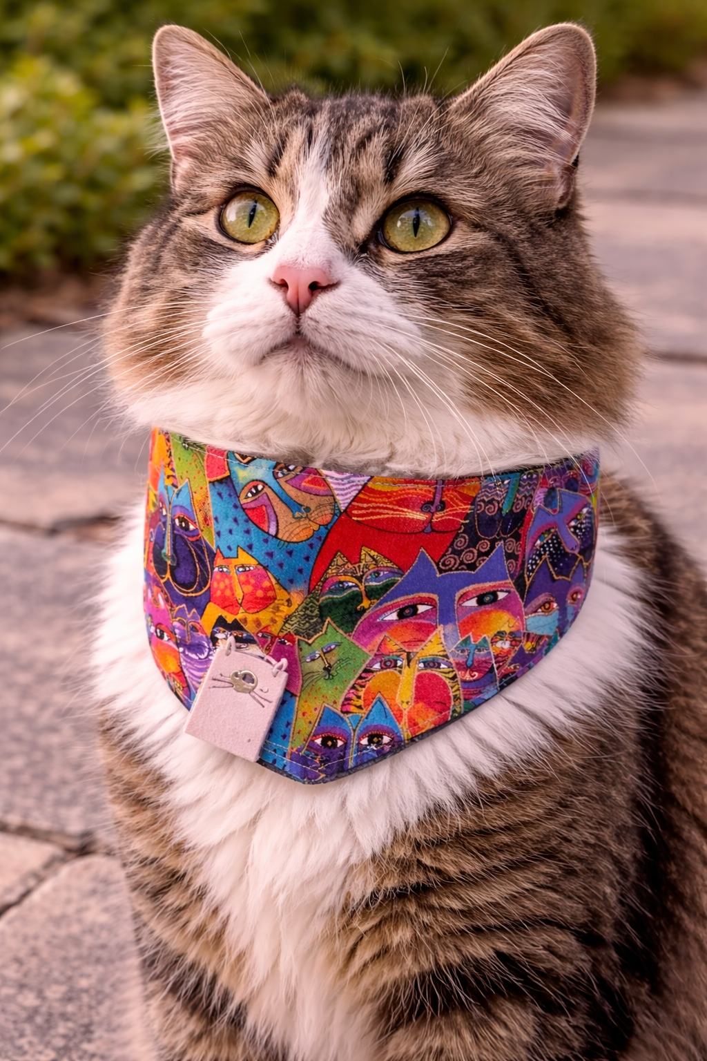 Cat Bandana — Choose Your Design